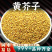 黄芥子中药材新货黄芥籽香料黄芥茉子安国中药材批发