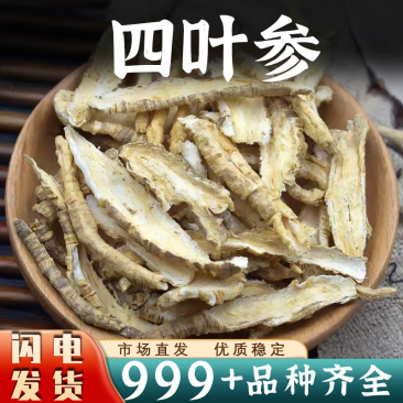 四叶参中药材新鲜干货大片安国中药材批发
