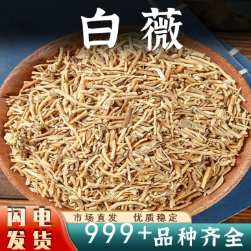 白薇中药材白微新鲜白薇白龙须干货安国中药材批发