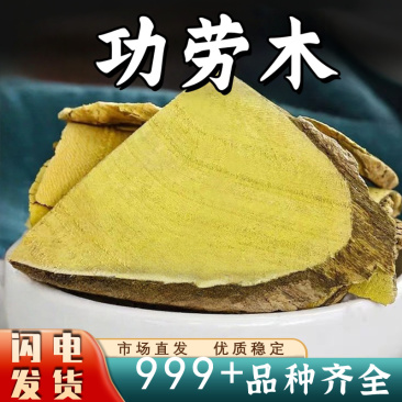 功劳木中药材十大功劳木土黄连刺黄安国中药材批发