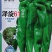 泽旋61辣椒种子杂交一代香辣味浓螺丝椒种籽辣味浓青果亮绿