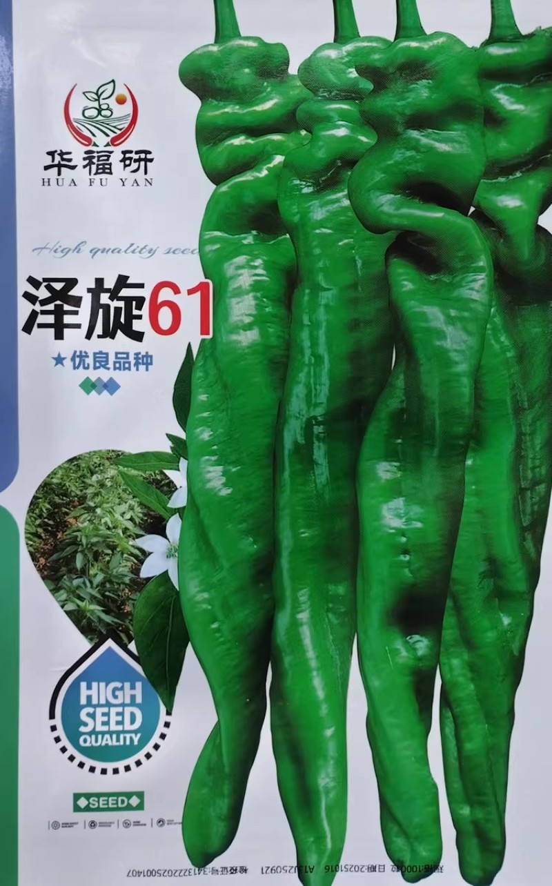 泽旋61辣椒种子杂交一代香辣味浓螺丝椒种籽辣味浓青果亮绿