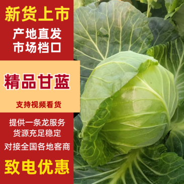 湖北精品甘蓝产地直供品质保障量大优惠对接全国