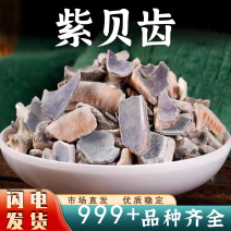 紫贝齿中药材安国中药材批发紫贝齿