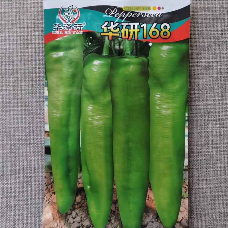 华研168辣椒种子黄绿色大果肉厚早熟粗羊角椒种籽辣味适中