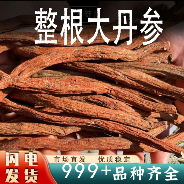 正宗丹参整根主根精选丹参条大条无熏硫原种老丹参新货批发
