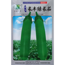 长丰绿长茄种子白肉青皮杂交长绿茄子种籽果肉细嫩皮薄春秋茄