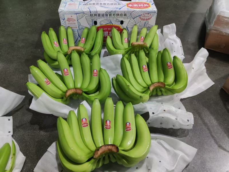 精品新鲜香蕉青蕉大品牌，上海杭州发货，各大市场，商超直发