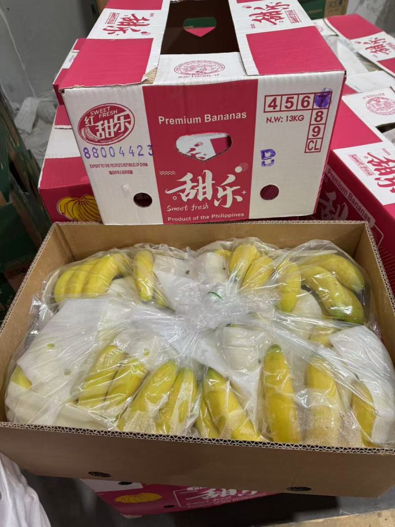 精品新鲜香蕉青蕉大品牌，上海杭州发货，各大市场，商超直发