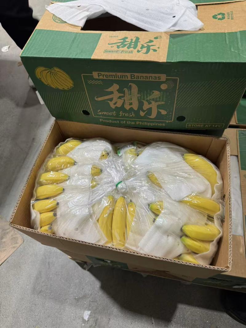 精品新鲜香蕉青蕉大品牌，上海杭州发货，各大市场，商超直发