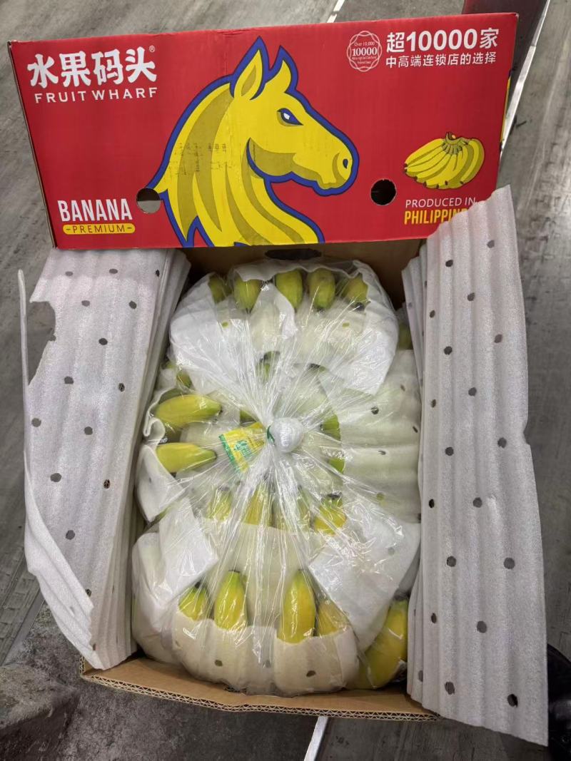 精品新鲜香蕉青蕉大品牌，上海杭州发货，各大市场，商超直发