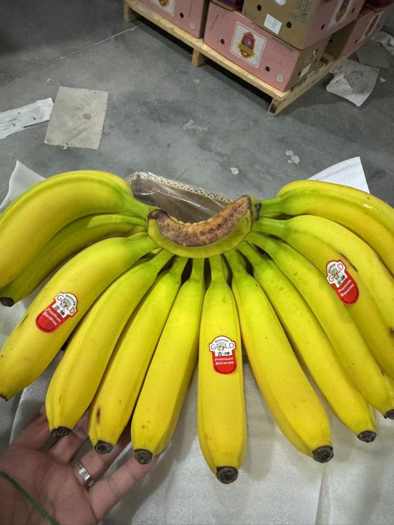 精品新鲜香蕉青蕉大品牌，上海杭州发货，各大市场，商超直发