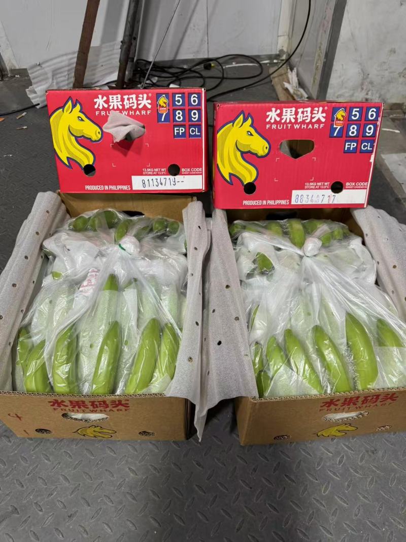 国产香蕉规格齐全产地直发价格特惠保质保量全国发货