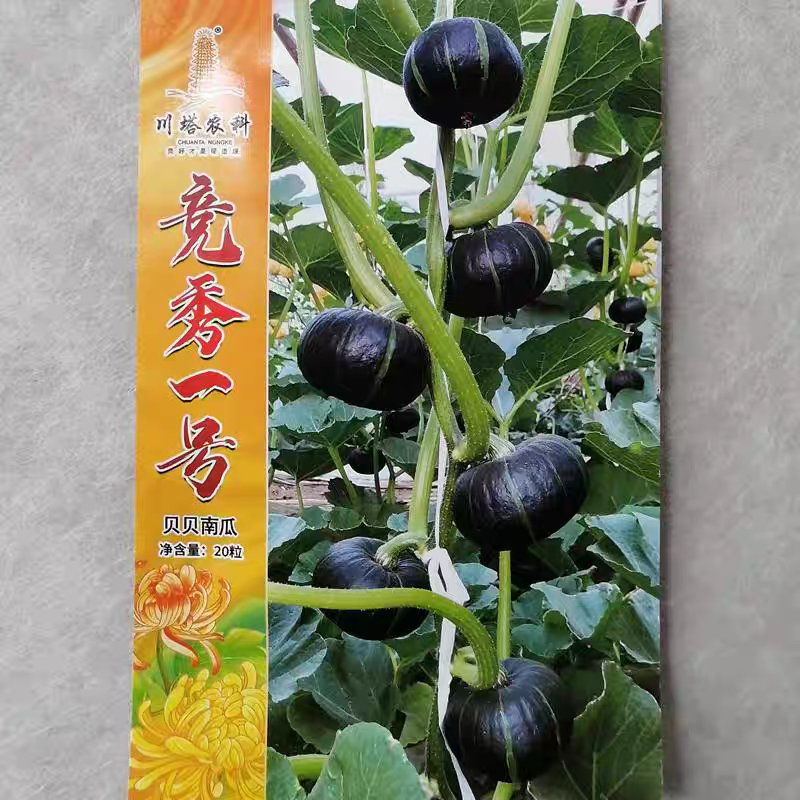 竞秀一号贝贝南瓜种子果皮黑亮果肉桔黄肉厚口感粉糯甜贝贝种