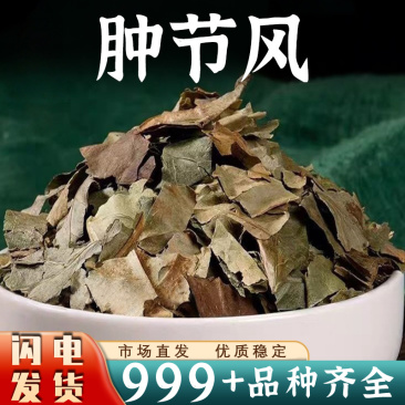 肿节风中药材九节茶仲节风接骨莲九爪龙安国中药材批发