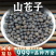 山苍子中药材荜澄茄山胡椒粒木姜子果非野生安国中药材批发