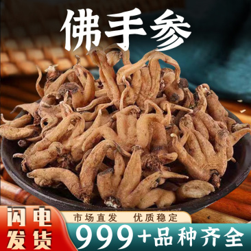 佛手参中药材手掌参西藏五指参手儿参阴阳草安国中药材批发
