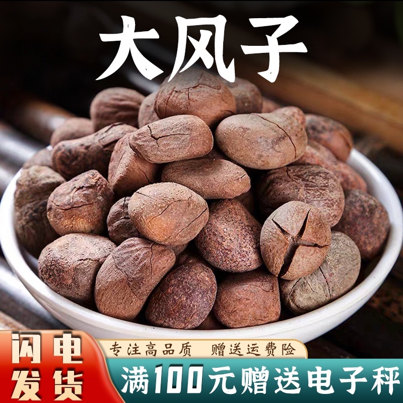 大枫子中药材大风子大枫子仁麻风子安国中药材批发