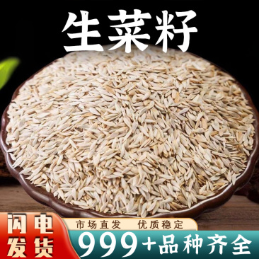 白生菜籽中药材新货生菜籽食用原籽安国中药材批发
