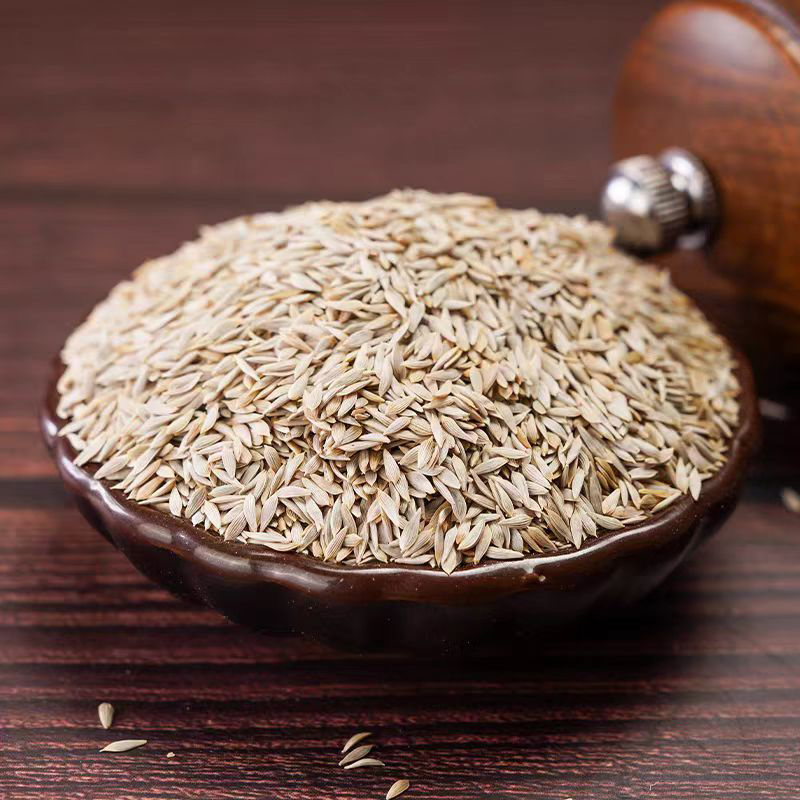 白生菜籽中药材新货生菜籽食用原籽安国中药材批发