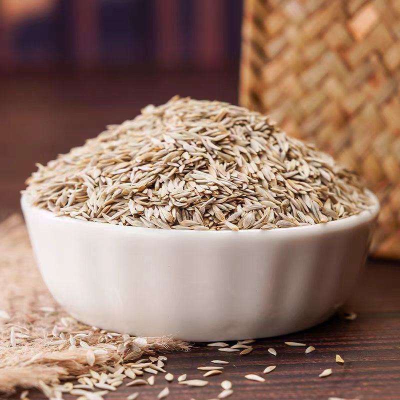 白生菜籽中药材新货生菜籽食用原籽安国中药材批发