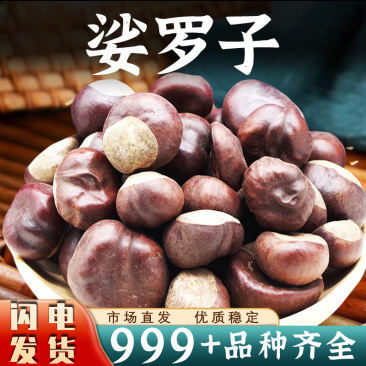 娑罗子中药材正品娑婆子仙栗苏罗子安国中药材批发