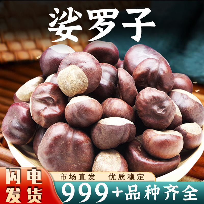 娑罗子中药材正品娑婆子仙栗苏罗子安国中药材批发
