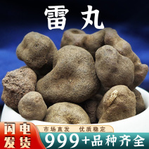 雷丸中药材竹苓竹铃芝雷实竹林子木连子安国中药材批发