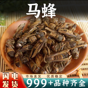 马蜂中药材正品干货蚂蜂胡峰地蜂黄蜂泡酒安国中药材批发