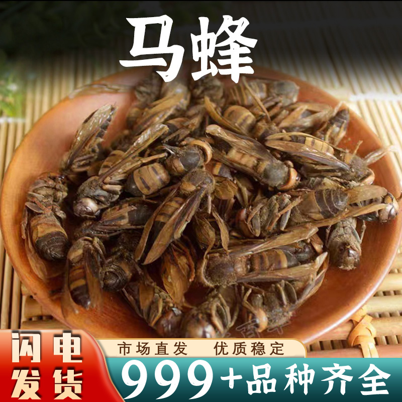 马蜂中药材正品干货蚂蜂胡峰地蜂黄蜂泡酒安国中药材批发