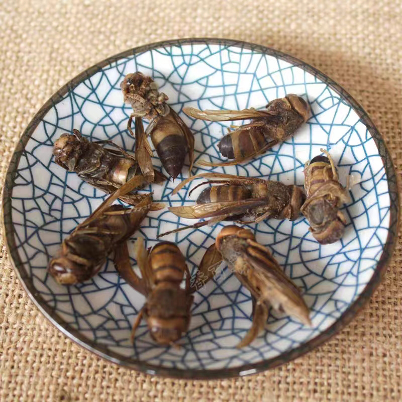 马蜂中药材正品干货蚂蜂胡峰地蜂黄蜂泡酒安国中药材批发