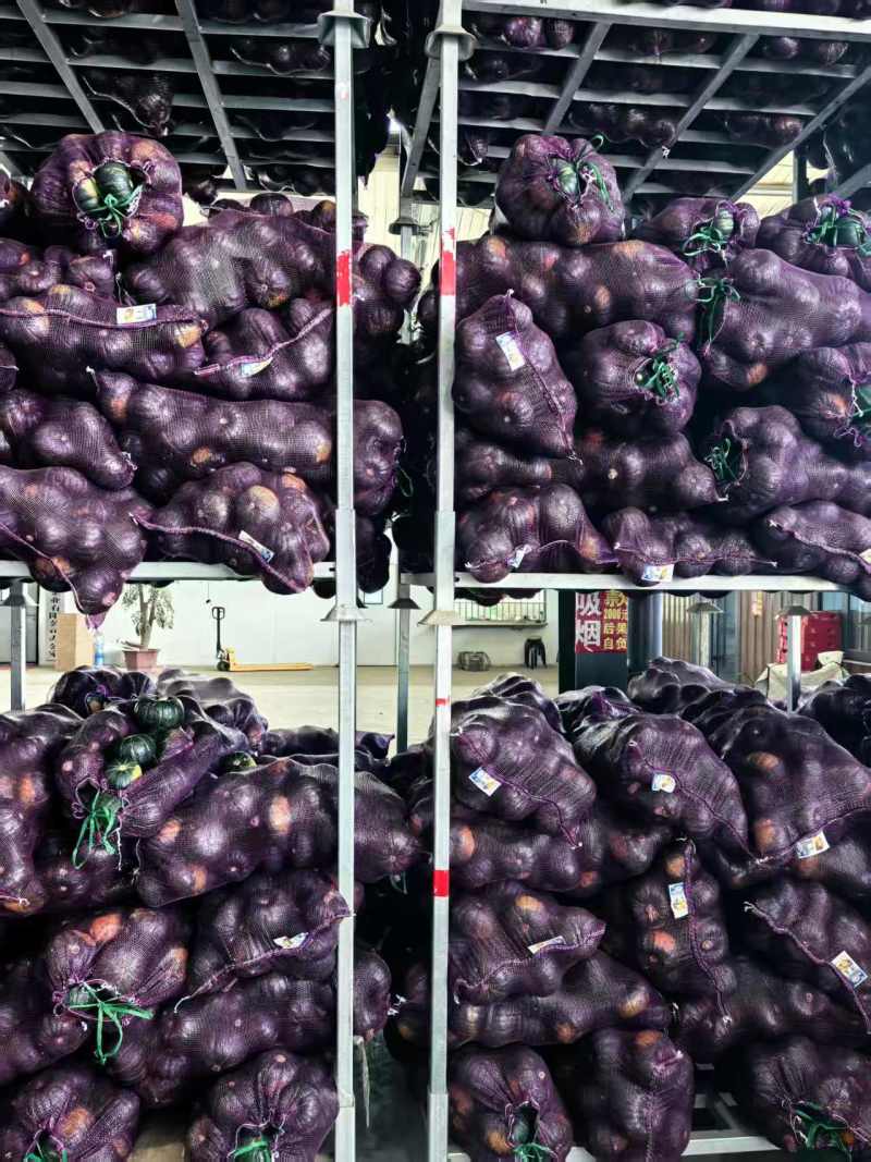 【大量上市】寿光贝贝南瓜粉糯香甜产地直发品质保障