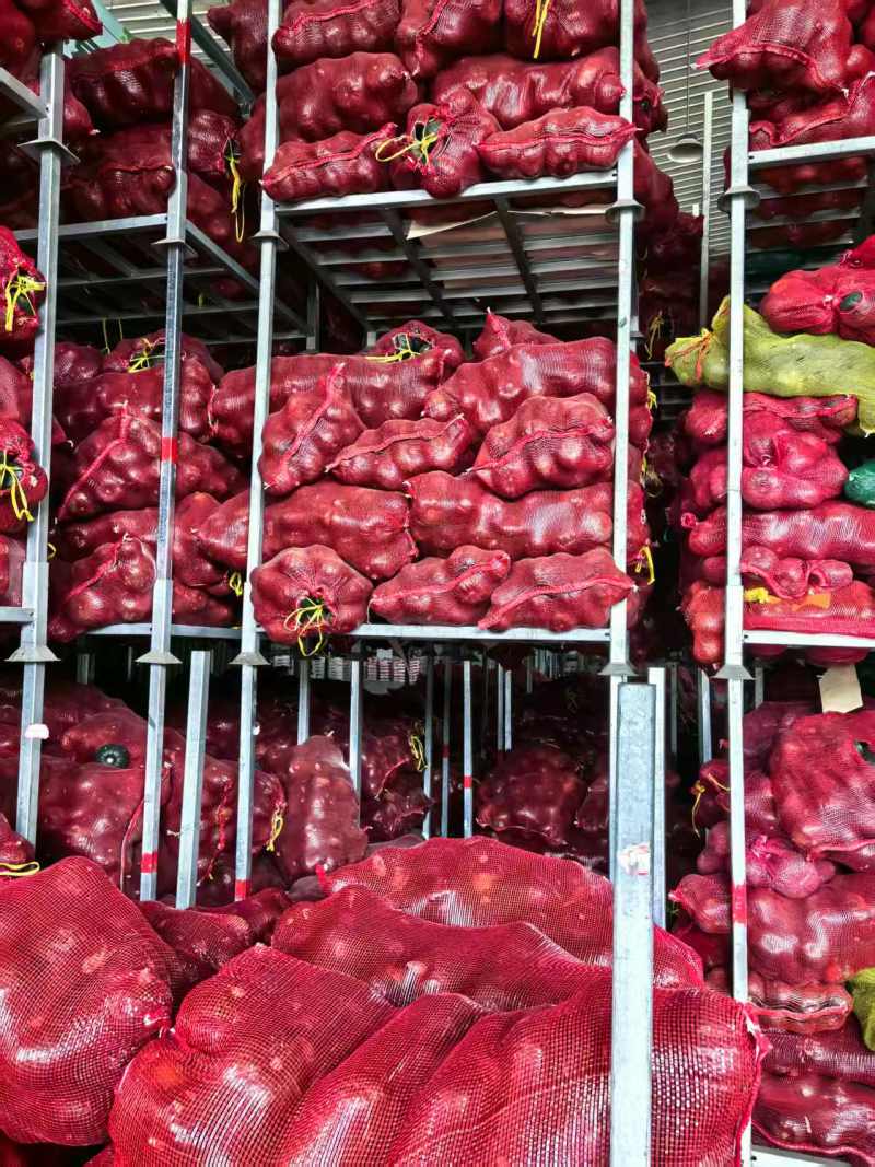 【大量上市】寿光贝贝南瓜粉糯香甜产地直发品质保障