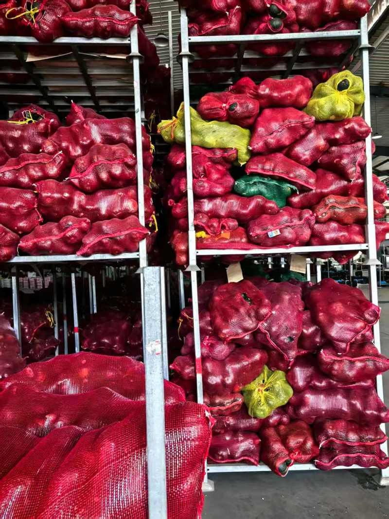【大量上市】寿光贝贝南瓜粉糯香甜产地直发品质保障