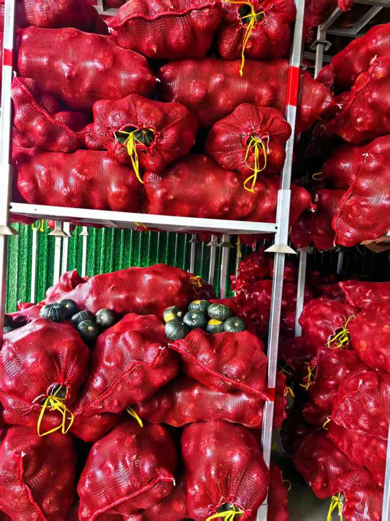 【大量上市】寿光贝贝南瓜粉糯香甜产地直发品质保障