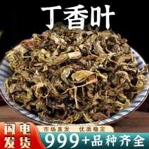 丁香叶中药材丁香叶干货***深山无硫药用正品泡茶泡水批发