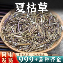 夏枯草中药材夏枯草杆白毛夏枯草全草干新货安国中药材批发
