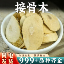 接骨木中药材接骨草接骨木茶接骨丹续骨丹续骨木新鲜干货批发
