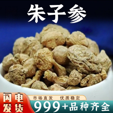 朱子参中药材珠儿参珠子参纽子七鞭三七疙瘩七安国中药材批