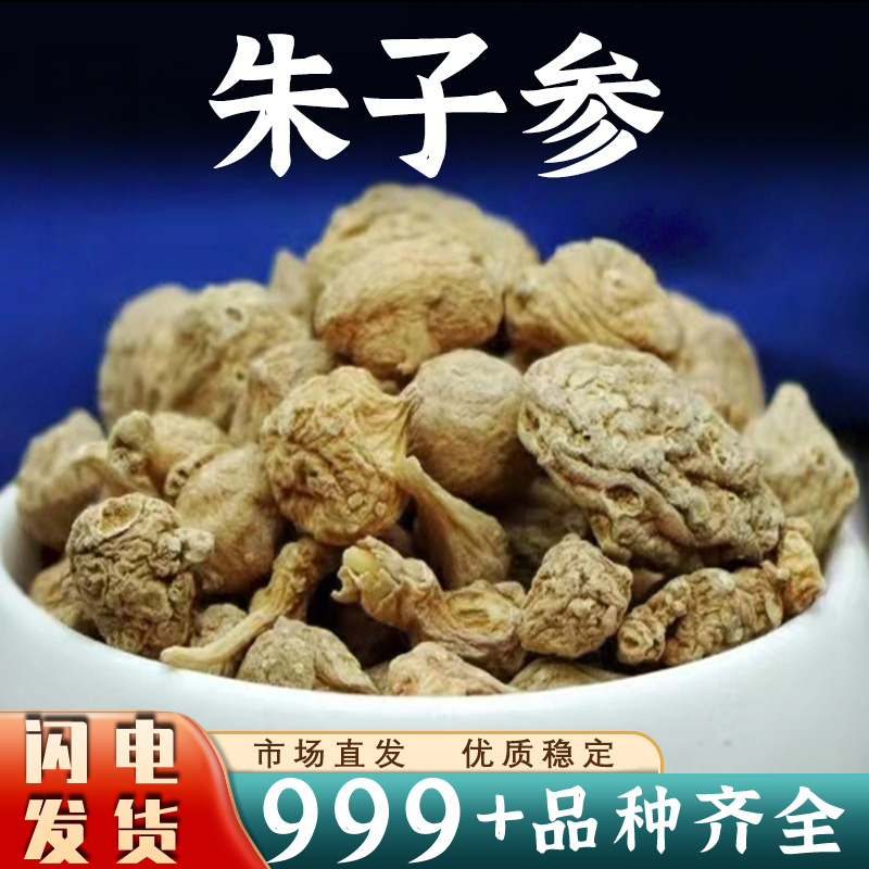 朱子参中药材珠儿参珠子参纽子七鞭三七疙瘩七安国中药材批