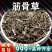 筋骨草中药材筋骨草白毛夏枯草苦草干安国中药材批发