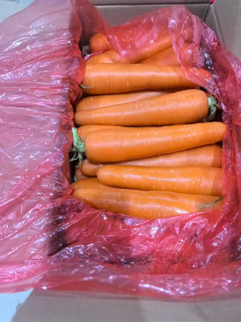 三红胡萝卜水洗中条半苗全苗商超品质代收代发全国各大市场