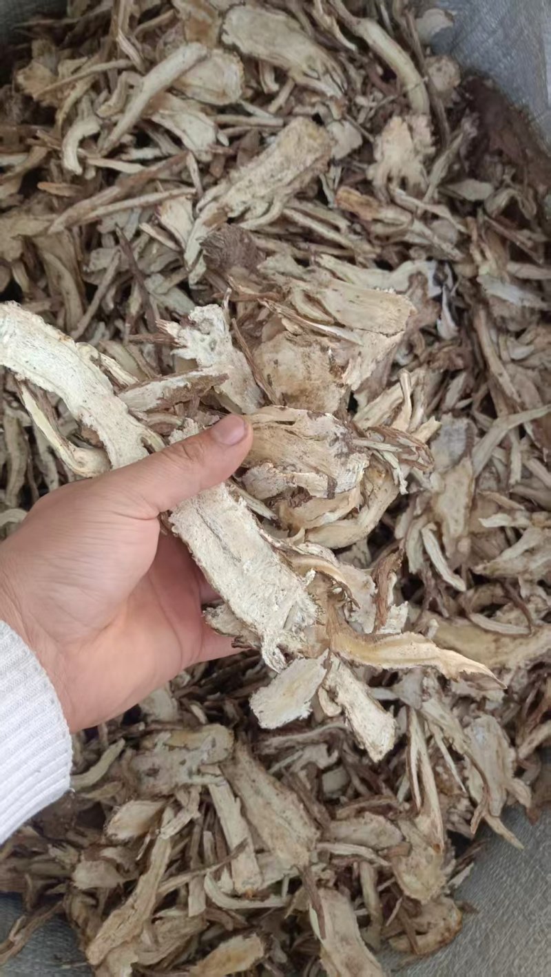 精选甘肃岷县当归切片量大价优产地直发