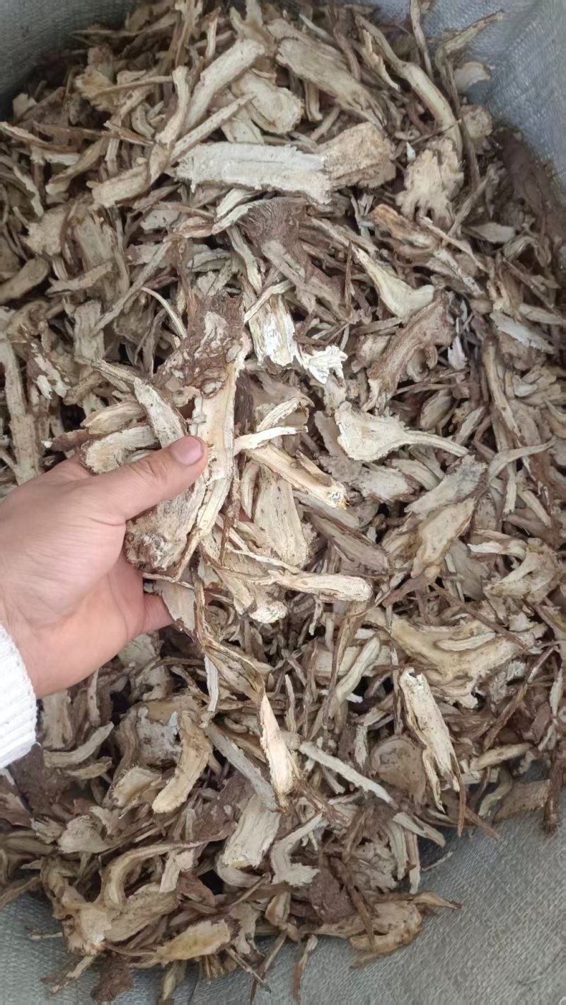 精选甘肃岷县当归切片量大价优产地直发