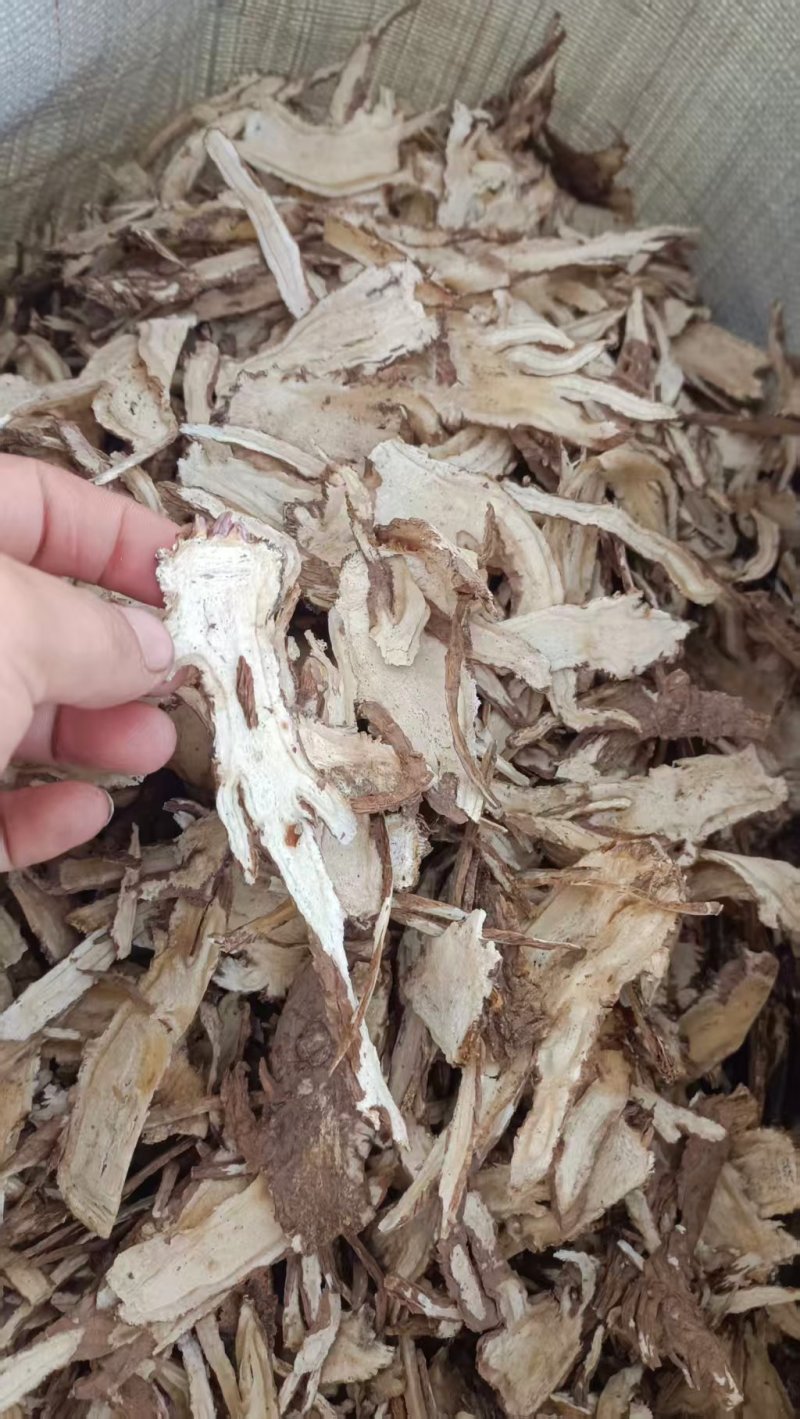 精选甘肃岷县当归切片量大价优产地直发