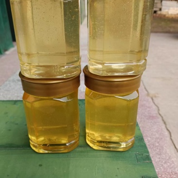 精品纯蜂蜜百花蜂蜜自家养蜂场量大从优假一赔十