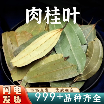 肉桂叶香料安国中药材批发