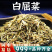 白屈菜中药材干货地道产地直供批发