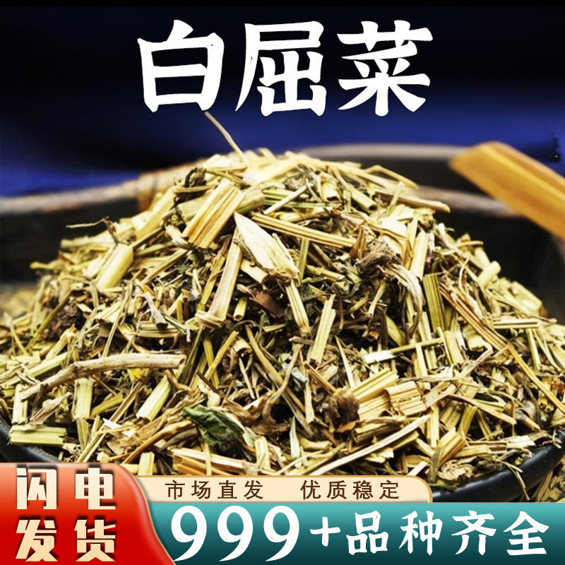 白屈菜中药材干货地道产地直供批发