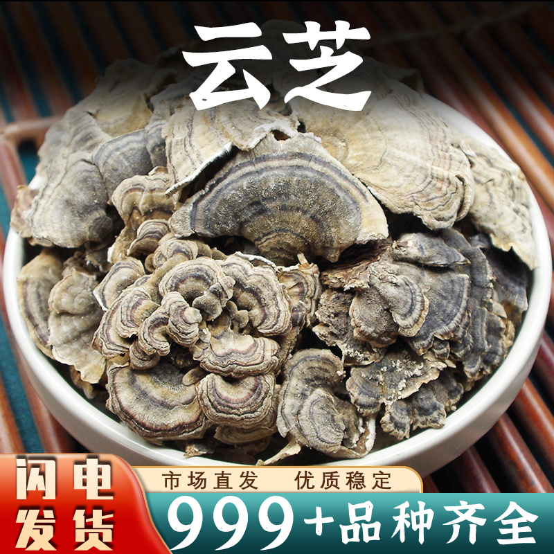 长白山云芝中药材安国中药材批发